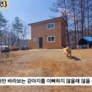 G1164 이미지