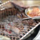 수돈 이미지