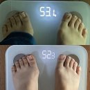 새해맞이 다이어트는 내돈내산 에이치마인드 슬리머스와 함께🏋🏻‍♀️ + 2주 후기, 먹은것 + 한달 후기