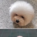 피규어 만들기 이미지
