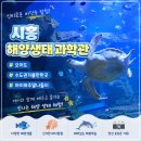 경기도노인회관 | 시흥 오이도 해양생태과학관 솔직 후기 가격 휴관일까지 완벽 정리 수도권 실내 나들이 추천
