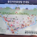 경기도학생교육원양평야영장 (공사중) | 용인자연휴양림 (여행 3일차 2)