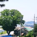 봉현1리(세곡) 네이버블로그
