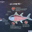 도일참치