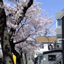 모꼬지로 자전거길 | 초당커피정미소 본점 / 초당모꼬지 내돈내산 육쪽마늘빵 누릉지크림라떼 모꼬지순두부생면 솔직후기