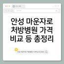 안성약국 | 안성 마운자로 처방병원 가격비교 성지최저가 저렴한곳약국