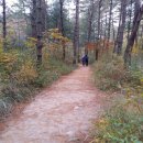 한울목장 이미지