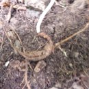 1박2일민박 이미지