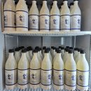 의류(오수시장노점상) | 경기도 전통시장 안성중앙시장 추천 점포 마춤미당 막걸리 온누리상품권 장보기