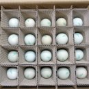 순천청계농장 이미지