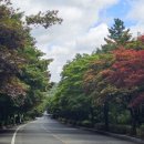 대둔산수락호수펜션 | 논산 대둔산도립공원 수락계곡 예다움사랑채펜션에서 완벽 여름휴가