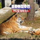 산골백두 | 봉화여행 힐링코스 : 백두대간수목원