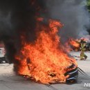 전기차·용오름·비브리오패혈증…훗날 신종재난 될 수도 이미지