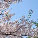 닥터후 결혼해줘!! 25.04