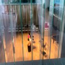 의료법인 은경의료재단 이미지