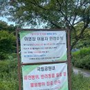 [가인야영장]가인야영장 d5사이트 내돈내산 솔직후기