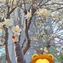 에코공원 Daum카페