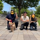 올바른 반려견 보호자 교육 | 반려견학교 모두모여댕댕, 보호자 클래스를 열다! (1)