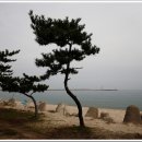 해파랑길 23코스 이미지