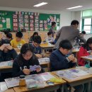 대전글꽃초등학교 이미지