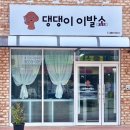 댕댕이 이발소 이미지