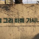 안씨네 네이버블로그
