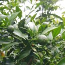 진표농장 이미지