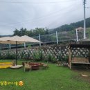 사등농장 이미지