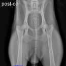 가경 나음 동물병원 이미지