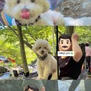 휴도기 그루밍 이미지