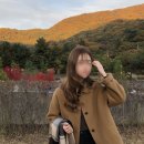 어텀마일드