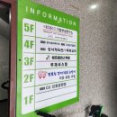 장보는강아지와고양이 신호점 | 명지애견용품할인매장 장보는강아지와고양이 부산신호점 강아지패딩 강아지니트조끼 월동준비하기