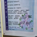 모리온두피탈모 이미지