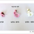 복숭아꽃의 종류가 다양합니다. ~ 이미지