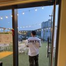 미로 2애견 이미지