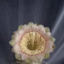 복실농장 이미지