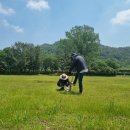 첨단체육공원(운동장) 이미지