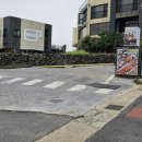 제주이서 이미지