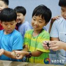 정선아리귀뚜라미농장 이미지
