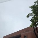 꿈나무태권도체육관 | [태권도] 초등학생 태권도 1품 심사 후기 - 장안대학교에서 본 심사 현장 (2편)
