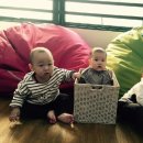 리틀채플린 이미지