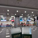 432 | [발리여행] 대한항공 인천 - 덴파사르공항 KE433/KE432 이코노미 이용 후기 | 기내식(ft. 눕코노미 당첨)