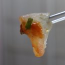 지혜횟집 이미지