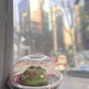 고래곰나비빌딩 | [국내여행] 2박 3일 인천 영종도 여행 ep.1