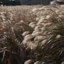 섬나라하얀집 이미지