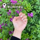 루나러브네일