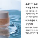 아르베라