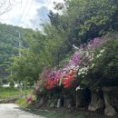 양주감악산캠핑장 | 양주 감악산 캠핑장 ㅣ 반려견 동반 캠핑장 추천 ㅣ 경기도 반려동반 캠핑