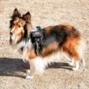 태담이네 하우스 이미지