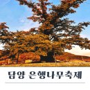 무정면사무소 | 담양에서 열리는 은행나무축제